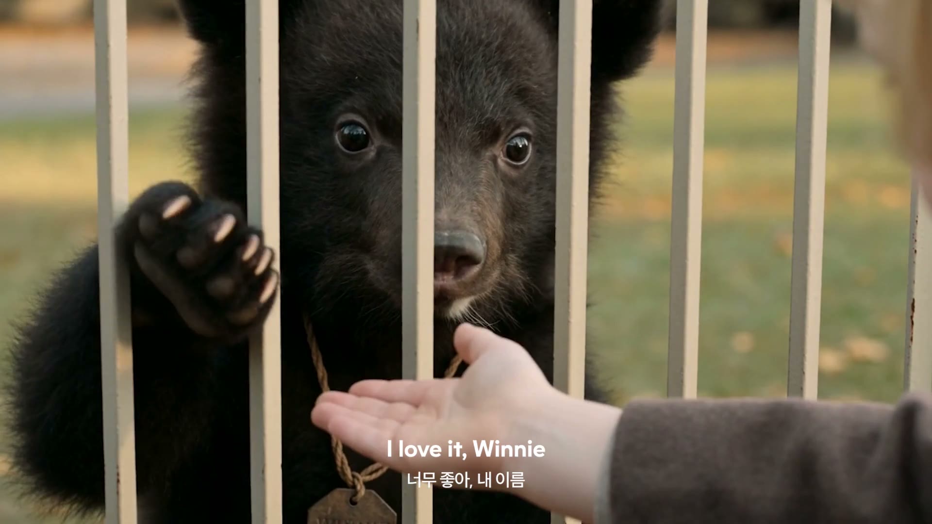 팀홀튼 Winnipeg Campaign